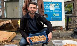 Taşköprü'de Kanlıca Mantarı Bereketi Yaşanıyor