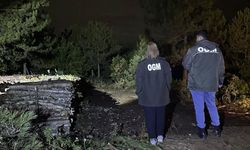Taşköprü Ormanlarında Gece Devriyesi: Yeşil Vatan İçin Nöbet Sürüyor