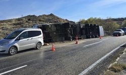 Devrilen tırdaki 2 inek telef oldu!