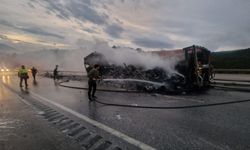 Tır kül oldu: Feci olayda detaylar belli oldu