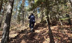2 gün önce mantar toplamaya ormana çıkmıştı: 88 yaşındaki yaşlı adam ölü bulundu