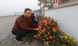 İnebolu’da Köy İmamının Çiçek Seferberliği Köyü Güzelleştirdi