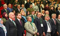 ABD, Japonya, Çin gibi 11 ülke temsilcisi Kastamonu'da