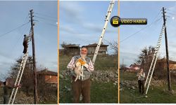 Taşköprü'de Elektrik Direğinde Mahsur Kalan Kediyi Muhtar Kurtardı