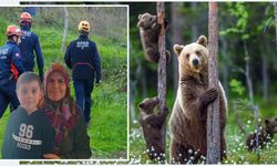 Kastamonu’da kayıp anne ve oğlu aranırken 8 ayı tespit edildi!