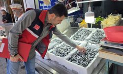 Çatalzeytin'de Su Ürünleri Denetimi: 4 İşletme Kontrol Edildi