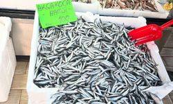 Balık fiyatları düştü: Vatandaşlar balığa yöneldi