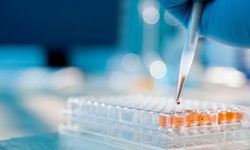 Bilim İnsanlarından Şaşırtan Keşif: Ömrü Uzatan Yeni İlaç Kombinasyonu