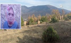 Kayıp kadından haber alınamıyor: Kastamonu’dan giden iz takip köpeği kayıp kadını arıyor