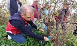 Kastamonu Çiftçileri Sağlıklı Üretim İçin Eğitimlerden Faydalanıyor