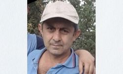 Feci olay: Devrilen ağaç can aldı!