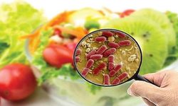 Türkiye’de Gıda Zehirlenmeleri Artışta: Uzmanlardan Kritik Uyarılar