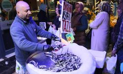 Hamsi 40 liraya düşünce balıkçı önünde kuyruk oluştu