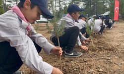 Kastamonu’da Yüzlerce Fidan Toprakla Buluştu