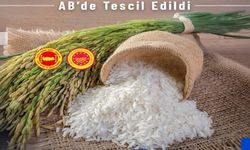 Tosya Pirincine bir rakip daha: Avrupa Birliği onların pirincini tescilledi