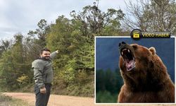 Kastamonu’da Anne Ayı ve İki Yavrusu Meşe Ağacında Görüntülendi