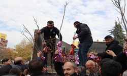 Kastamonu’da milli seferberlik: Fidanlar dakikalar için de tükendi