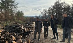 Kastamonu'da Yanan Sahalarda Titiz Çalışma