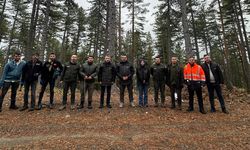Kastamonu’da Ormanların Sürdürülebilirliği İçin Damga Çalışması Gerçekleştirildi