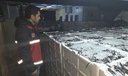 Kastamonu sahilinde denetleme sürüyor