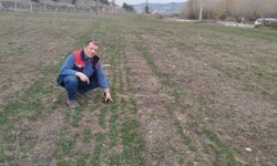 Kastamonu’da Tarım ve Orman Müdürlüğü Arazi Kontrollerini Sürdürüyor