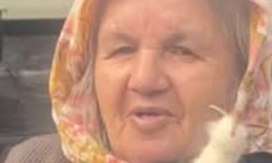 Kastamonu'da 7 çocuk annesi kadın yaşamını yitirdi