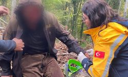 Kastamonu’da Ayı Saldırısı: Ekipler Yaralıya Güçlükle Ulaştı