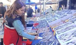Kastamonu’da Balık Satış Yerlerinde Denetimler Sıkılaştı
