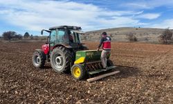 Kastamonu’da Çiftçiler Tarlada, Ekipler Sahada! Hububat Ekimi Aralıksız Sürüyor