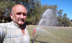 Kastamonu'da domuz avı ölümle sonuçlandı: Sanıklar için istenen ceza belli oldu!