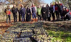 Kastamonu’da Kadınlara Güç Veren Proje: 24 Bin Fide Dağıtımı Yapıldı