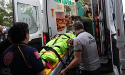 Kastamonu'da Mantar Toplarken Kabus Yaşadı: İmam Ayı Saldırısında Yaralandı