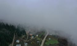 Kastamonu'da sonbaharın renkleri sisle birleşti