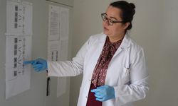 Kastamonu'da uzmanlardan zehirlenmelere karşı uyarı: 'Denetlenen işletmeleri tercih edin'