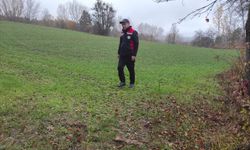 Kastamonu'da veriler doğrulandı, destek süreci hızlandı