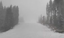 Kastamonu'nun yüksek kesimleri karla buluştu