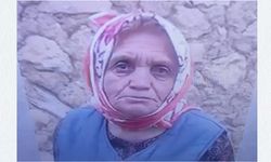 Mantar toplamaya giden kadından haber yok!