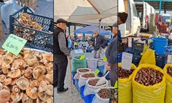 Kestane ve Mantar Kokusu Taşköprü’yü Sardı