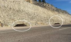 Kastamonu’da çiftçiden şikayet var: Atıklarını yol kenarına döküyorlar!