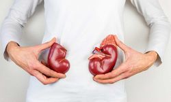 Masum Görünüyor Ama Tehlikeli: Bu Alışkanlıklar Böbrekleri Yıpratıyor