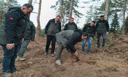 Kastamonu’da Orman Yönetimi Çalışmaları Yerinde Denetlendi