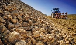 Resmi Gazete’de yayınlandı: 2026–2027 şeker kotaları açıklandı