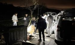 9 köpeği öldürüp çöpe attılar!