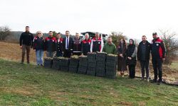 Kastamonu'da Kadın Girişimcilere Büyük Destek: 38 Bin Tanesi Ücretsiz Dağıtıldı