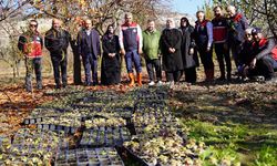 Kastamonu Valiliği; ‘tarımın gücü’ dedi