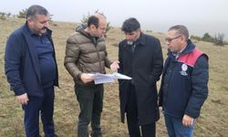 Taşköprü’de Meralar Yenileniyor: Islah Çalışmaları Başladı