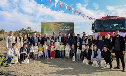 Taşköprü’de Yüzlerce Karaçam Fidanı Toprakla Buluştu