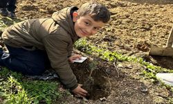 Taşköprü’de Öğrenciler Ormanla Buluştu