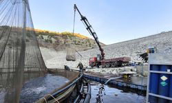 Taşköprü, sarımsaktan sonra balıkta da söz sahibi: Kastamonu’dan 650 ton alabalık sevk edildi