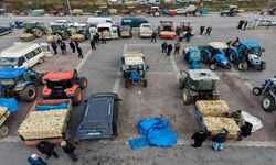 Taşköprü Sarımsağı Soğuk Havalara Rağmen Pazarın Gözdesi